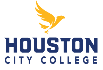 Houston City College